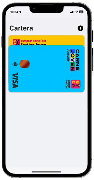 Interfaz de la app de Carné Joven de Aragón